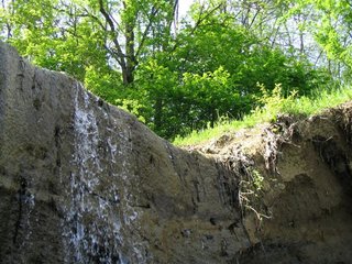 IMG_0146