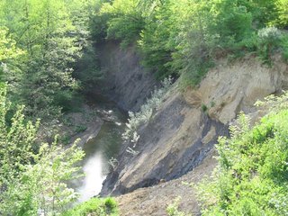IMG_0153