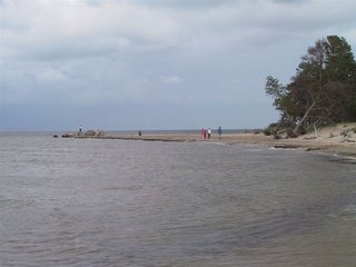 IMG_3457
