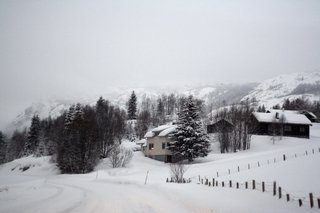 IMG_8377_resize