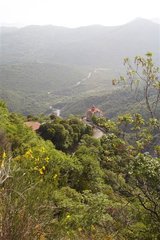IMG_2359