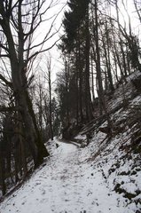 IMG_0054