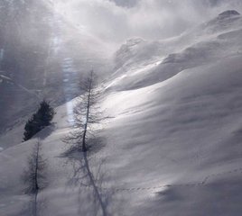 Капрун