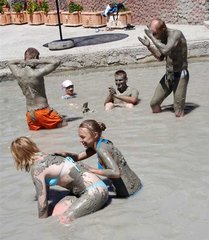 Свинки в деле