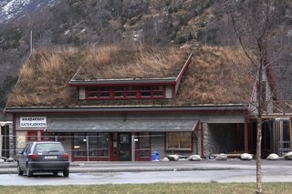 IMG_8452_resize