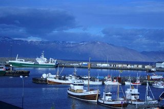 Берег Северного Ледовитого океана