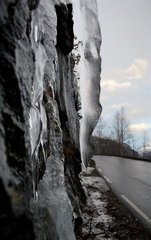 IMG_8967_resize