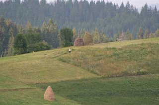 IMG_5344