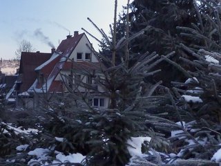P1020472_resize