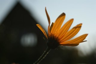 _MG_2757