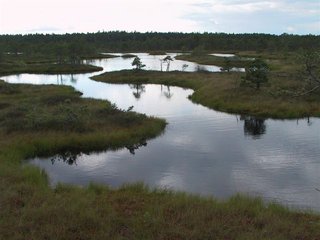 IMG_3089