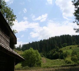 IMG_5257