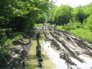 IMG_0051