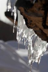 _MG_0872