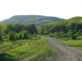 IMG_1422