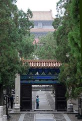 IMG_6177