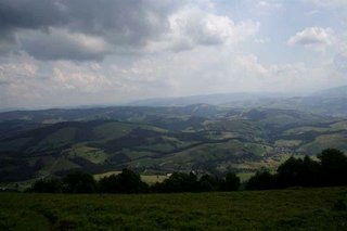 _MG_5202