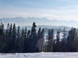 P1020452_resize