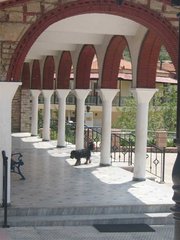 IMG_0626