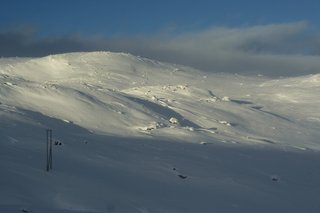 IMG_8813_resize
