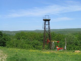 IMG_1533