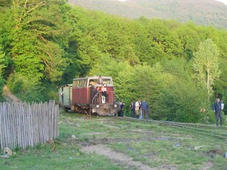 IMG_1443