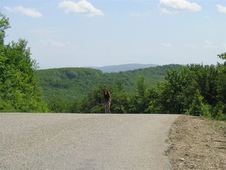 IMG_1545