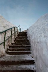 _MG_0985