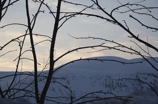 _MG_0997