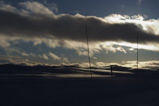 IMG_8824_resize