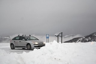 IMG_8701_resize