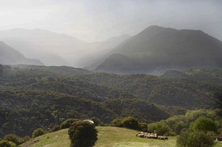 _MG_2270-1