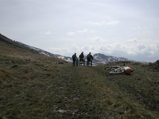 Три богатыря