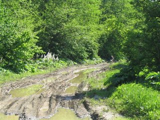 IMG_0045