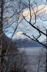 IMG_8973_resize