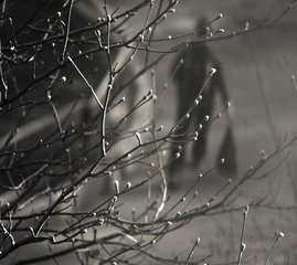 Серия: Весна