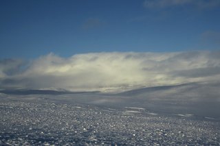 IMG_8857_resize