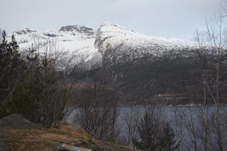 IMG_8953_resize