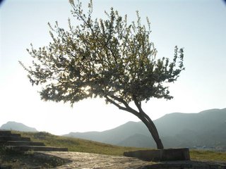 Судак, крепость