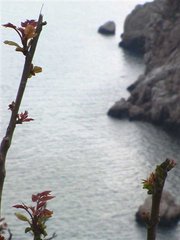 Балаклава