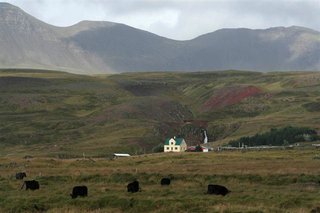_MG_1777