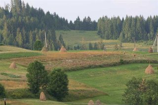 IMG_5337