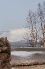 _MG_0861