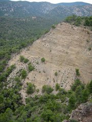 IMG_0343