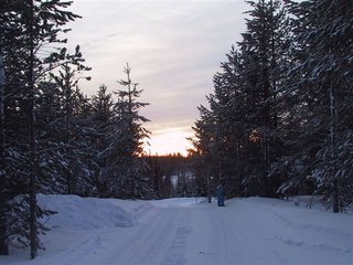 IMG_6107