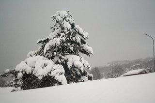 IMG_8762_resize