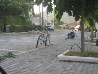 IMG_0506