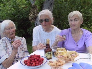 IMG_3586