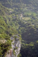 IMG_2378