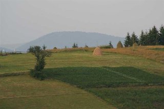 IMG_5342
